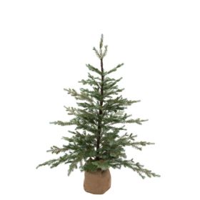 Fresh Pine Tree In Burlap 125cm